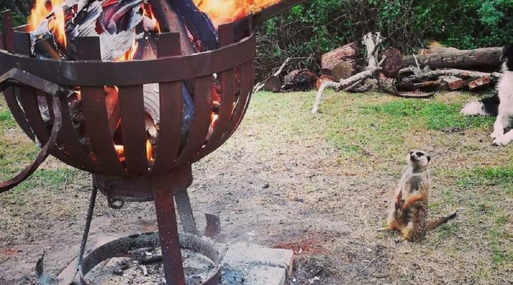 Pabala Private Nature Reserve