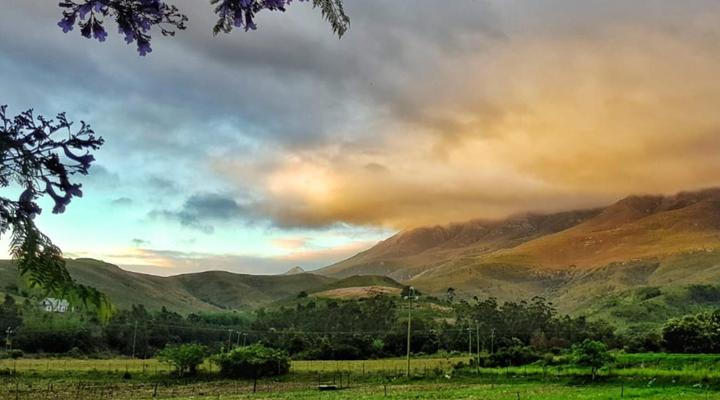 Leeurivier Onder Die Hoogte 