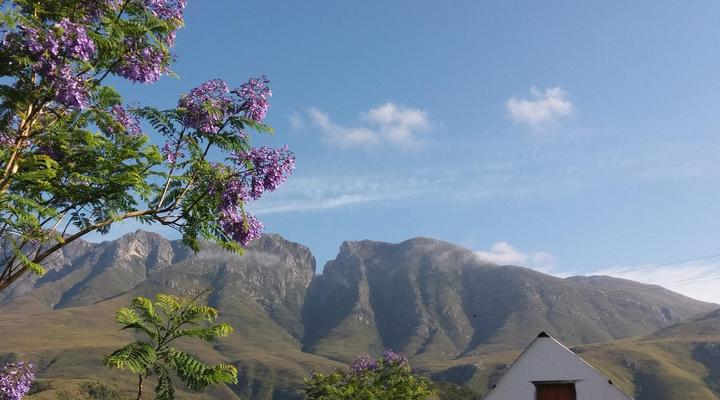 Leeurivier Onder Die Hoogte 