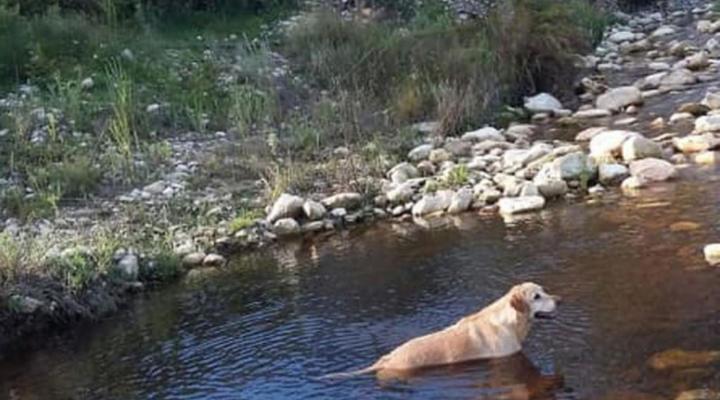 Leeurivier Onder Die Hoogte 