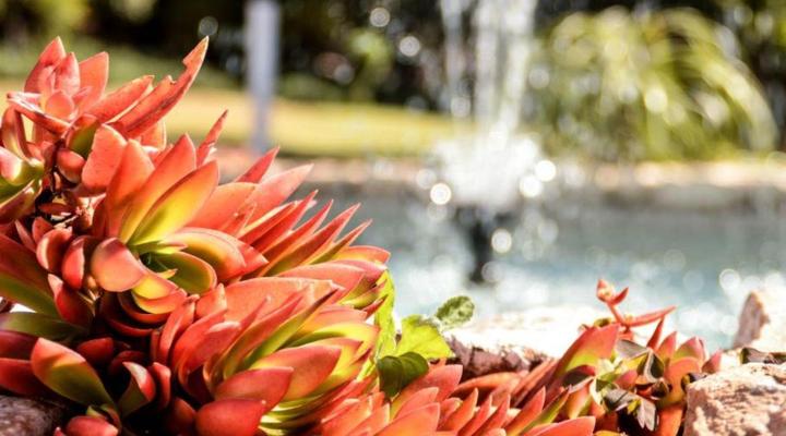 Guest House Serenity