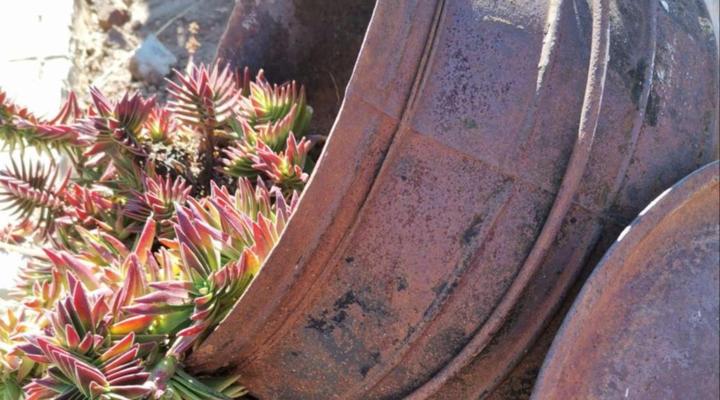 Monakaladi Gardens Function Venue and Homestead