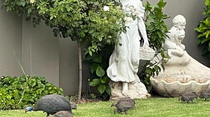 Six on Reinecke Guesthouse