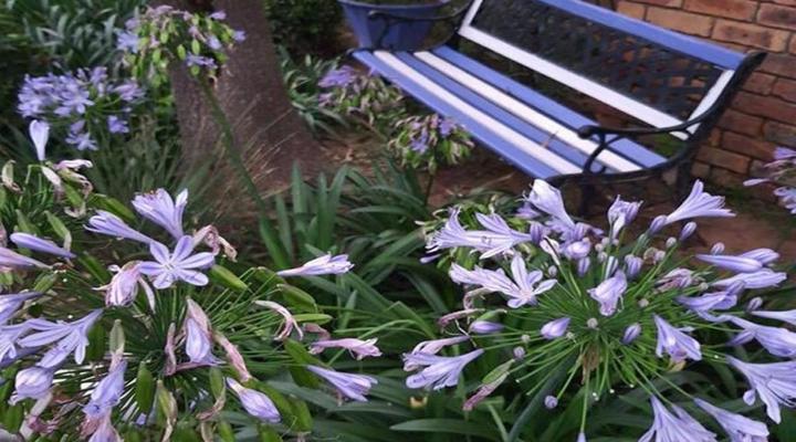 Gemsbok Cottage Bethlehem