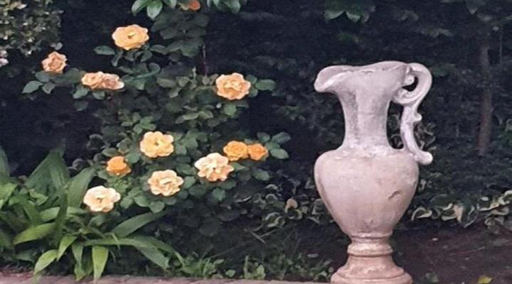 Gemsbok Cottage Bethlehem