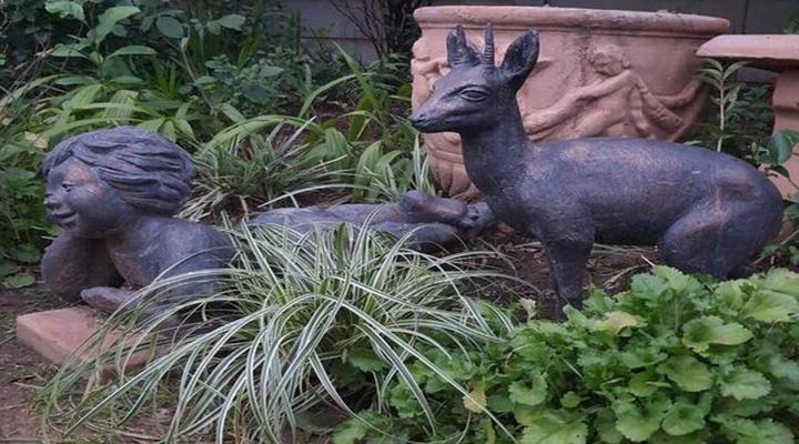 Gemsbok Cottage Bethlehem