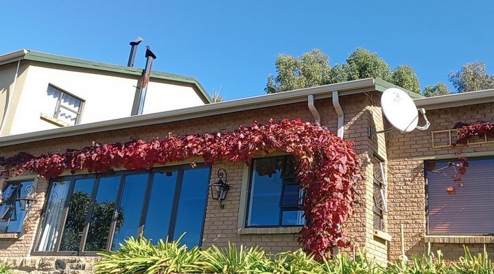 The Fat Mulberry Guest Farm