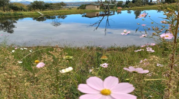 The Fat Mulberry Guest Farm