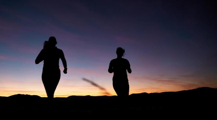 Glen Harry Game Reserve