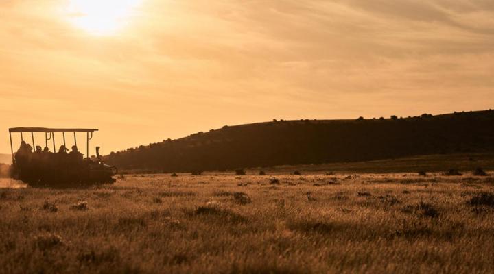 Glen Harry Game Reserve