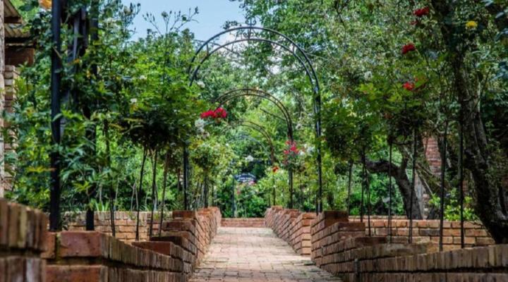 Tarry-Stone Cottages