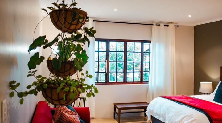 The Gallery at The Aloes Farm