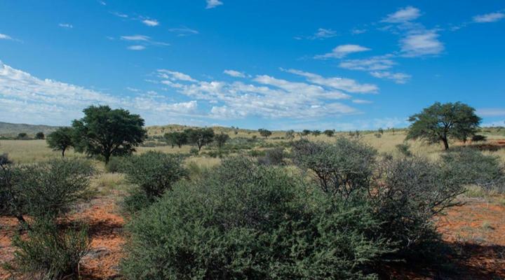 Zoutpanputs Game Lodge