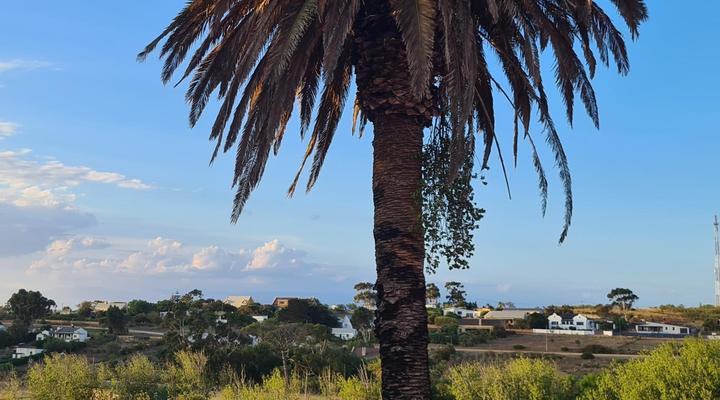 The Restio Country Guesthouse