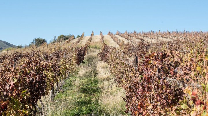  Arendsig Self-Catering Cottages