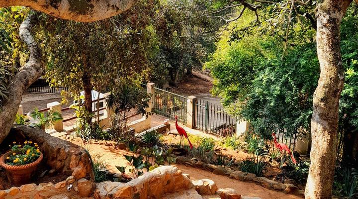 The Healing Hill Guesthouse