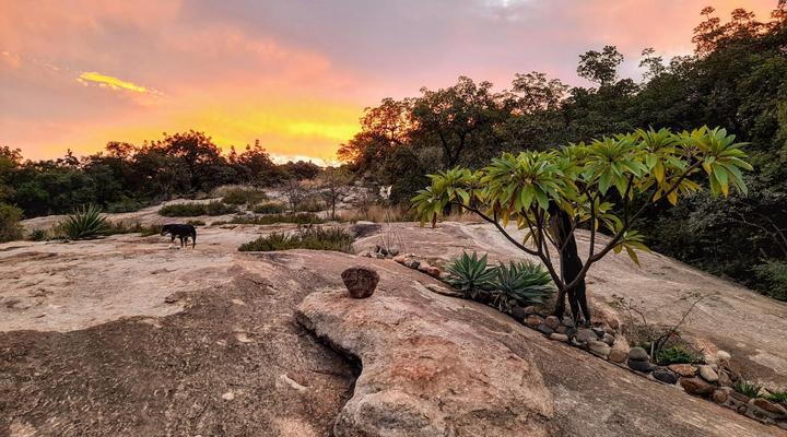 The Healing Hill Guesthouse