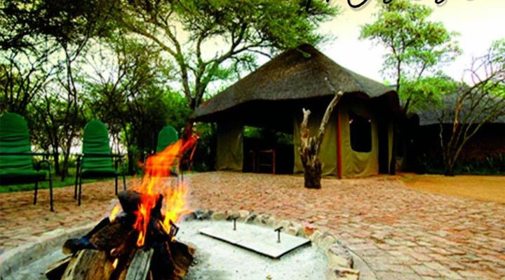 Sondela Nature Reserve & Spa Moselesele Tent Camp