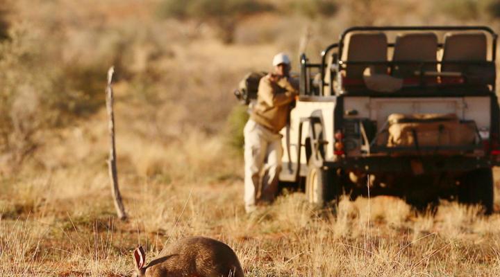 Tswalu Kalahari Reserve