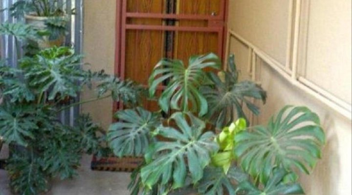 Indigo Self-Catering