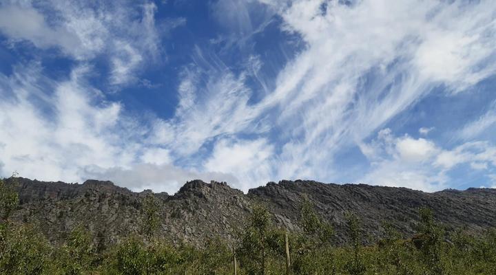 Rhodene Farm Cottages