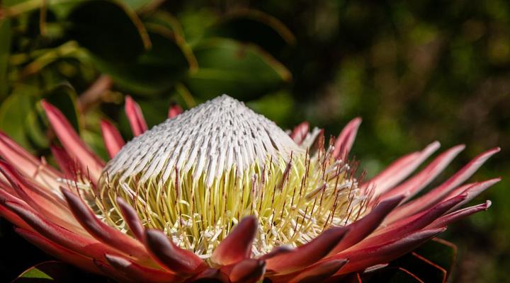 Navarre Farm Cottages