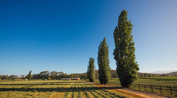 Beausoleil - The Loft