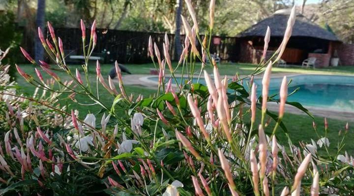 Northwich Game Ranch