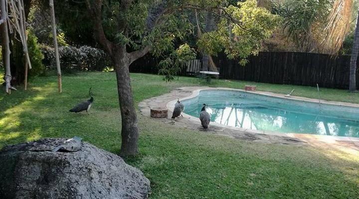 Northwich Game Ranch