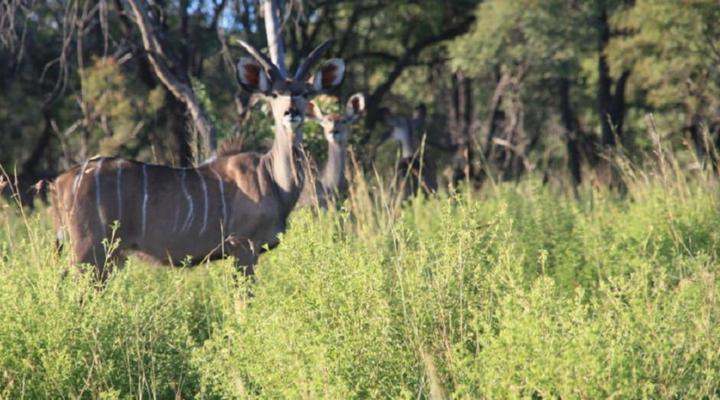 Newburg Lodge & Luxury Bush Tents