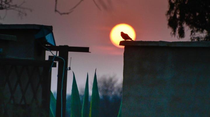 La Rochelle Guesthouse