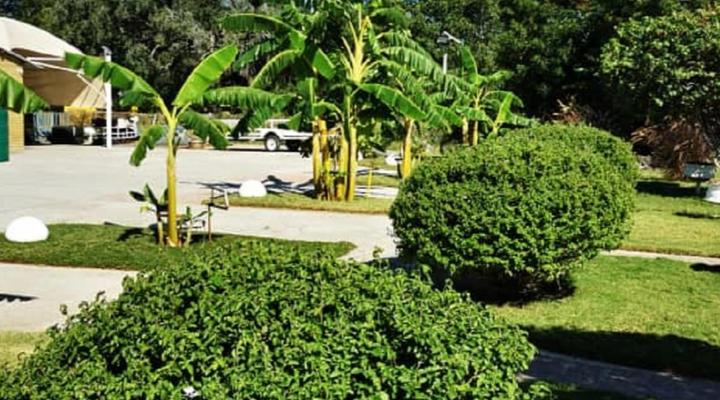 Palmeiras Lodge Oshikango