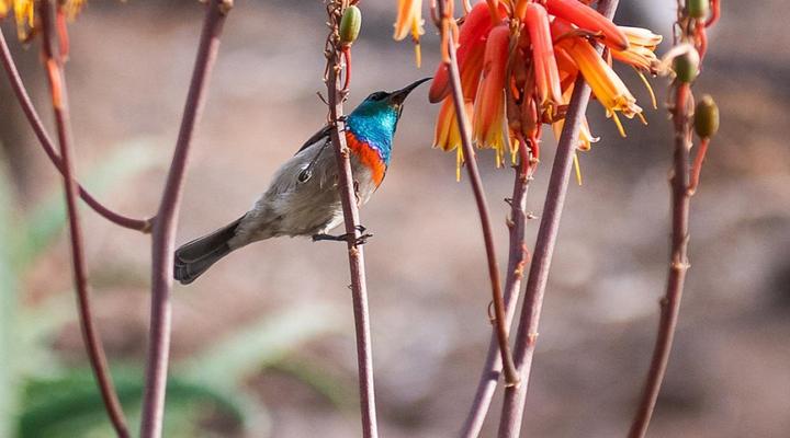 Fossil Hills Farm Cottage