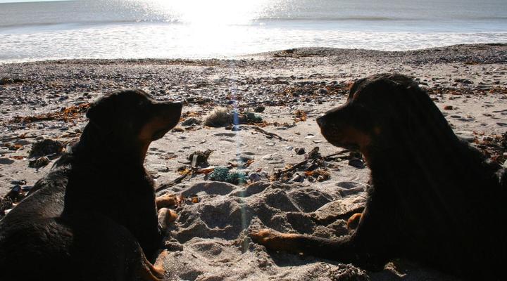 Fishermansrest Self-catering –Velddrif