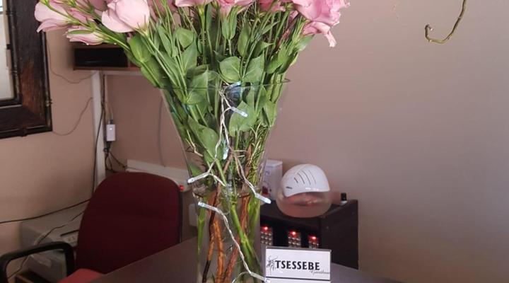 Tsessebe Guest House