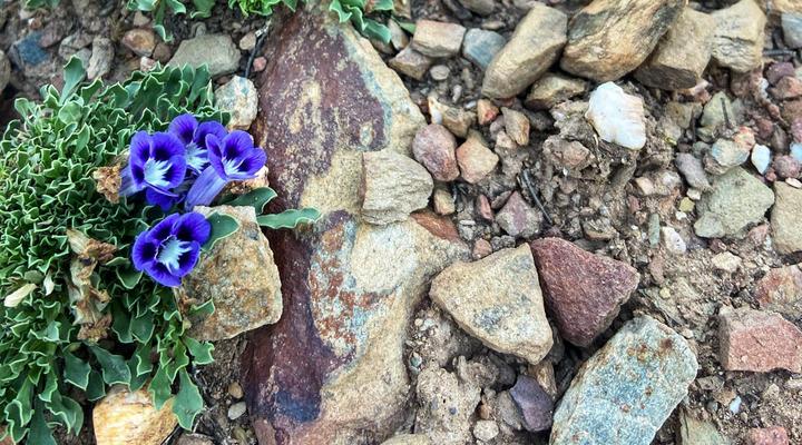 Breathe Lodge & Cottage