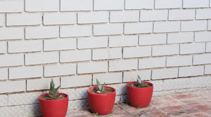 Klinkies Potchefstroom