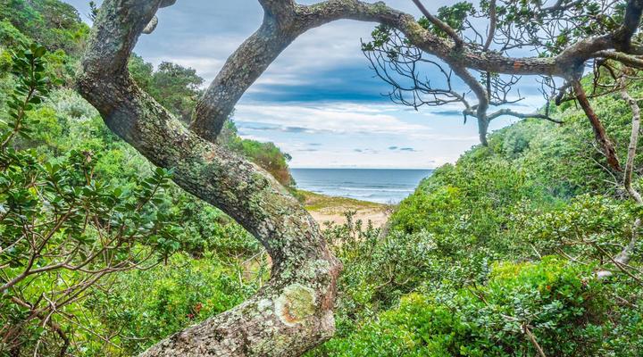 Milkwood Bend Farm Resort