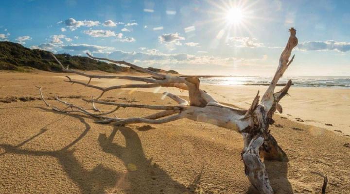 Milkwood Bend Farm Resort