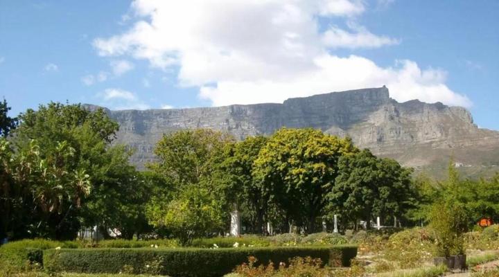 Taj Luxury Suites 405 and 406