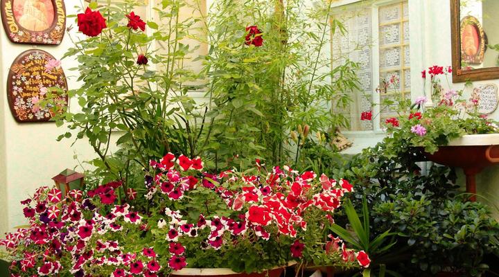 Mountain View Country Inn