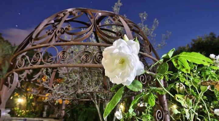 Ben's Bed and Breakfast