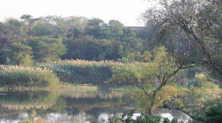 Orchards Farm Cottages