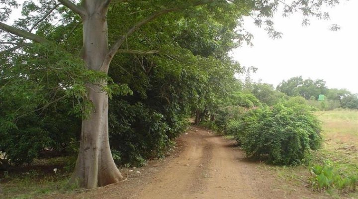 Orchards Farm Cottages