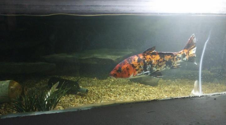 Aan die Oewer Guesthouse