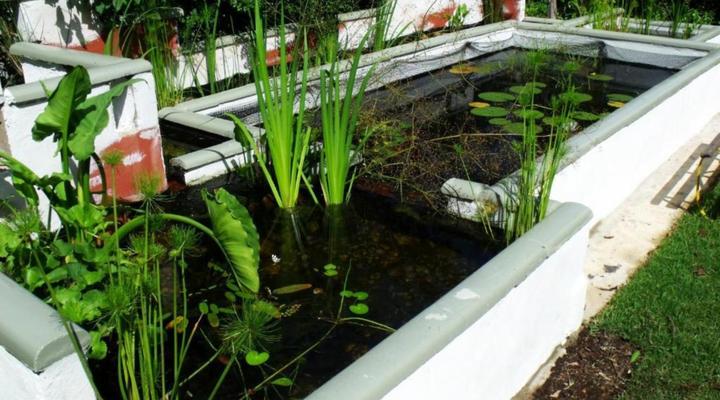 Jamaed Court Self-Catering Apartments