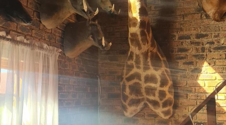 Royal Villa Guesthouse