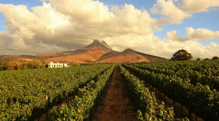 Mitre's Edge Wine Estate