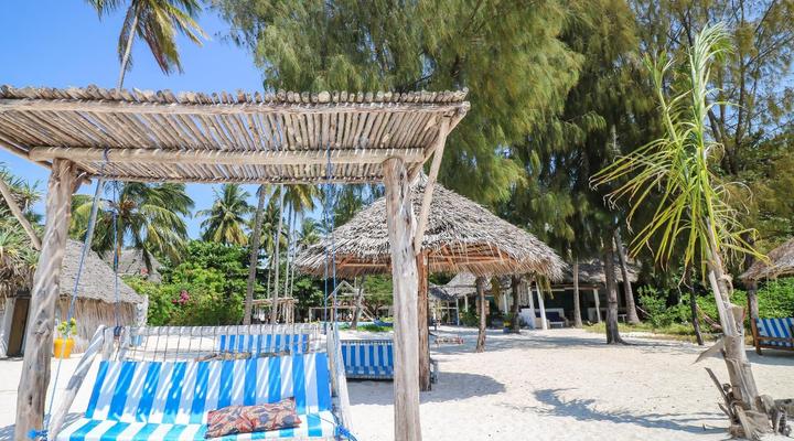 New Teddy's on the Beach