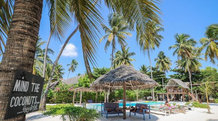 New Teddy's on the Beach